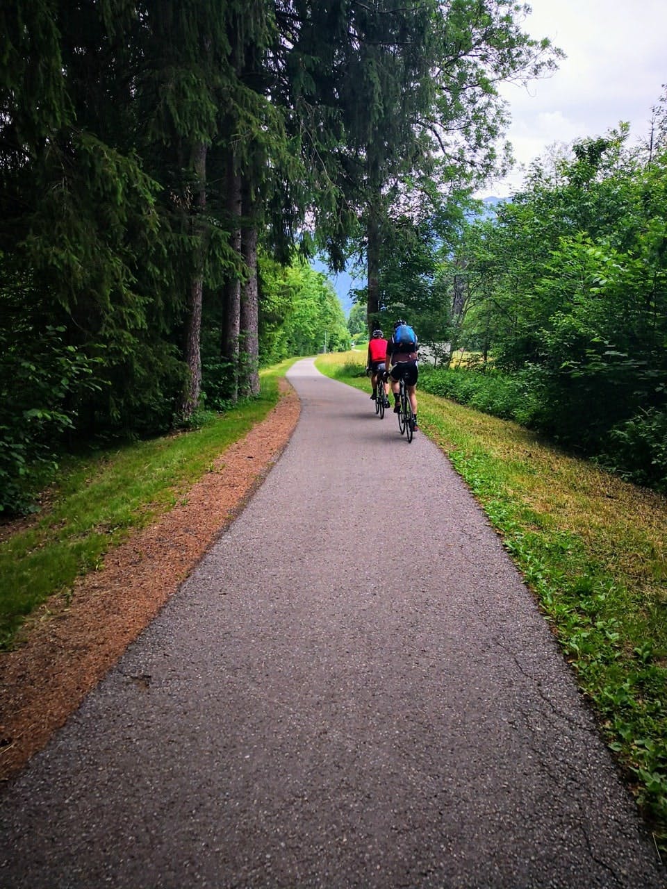 Zwei Fahrradfahrer auf einem Radweg durch Grüne